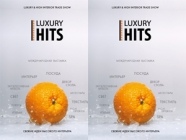 LuxuryHITS 2013